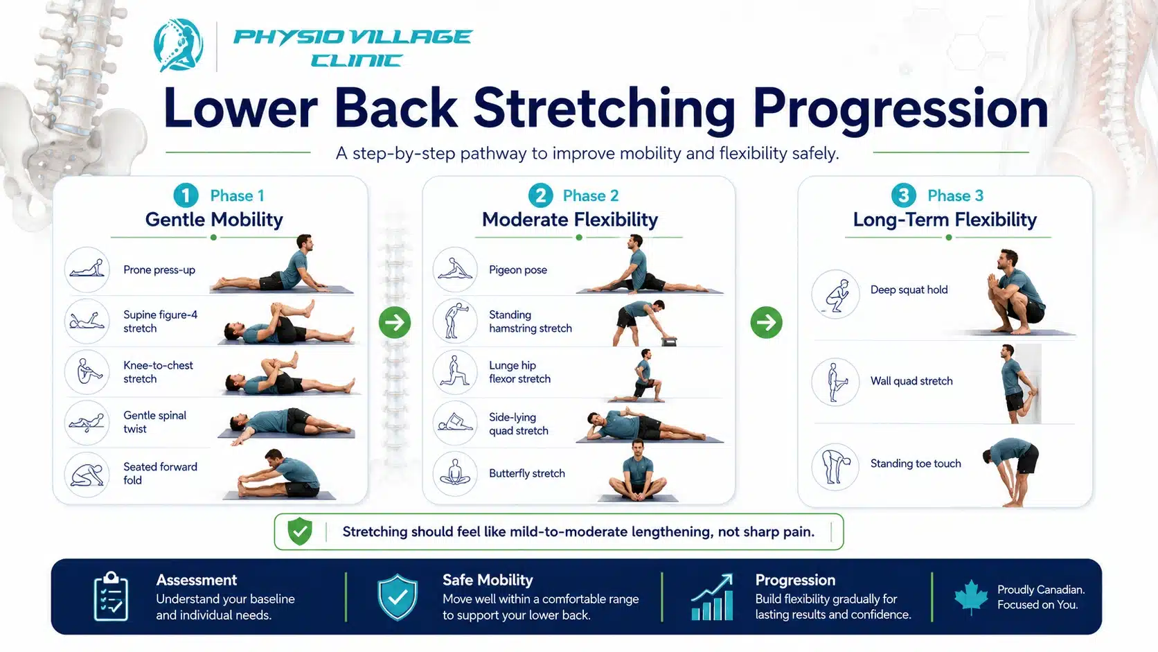 Clinical infographic showing three phases of lower back stretching from gentle mobility to long-term flexibility.