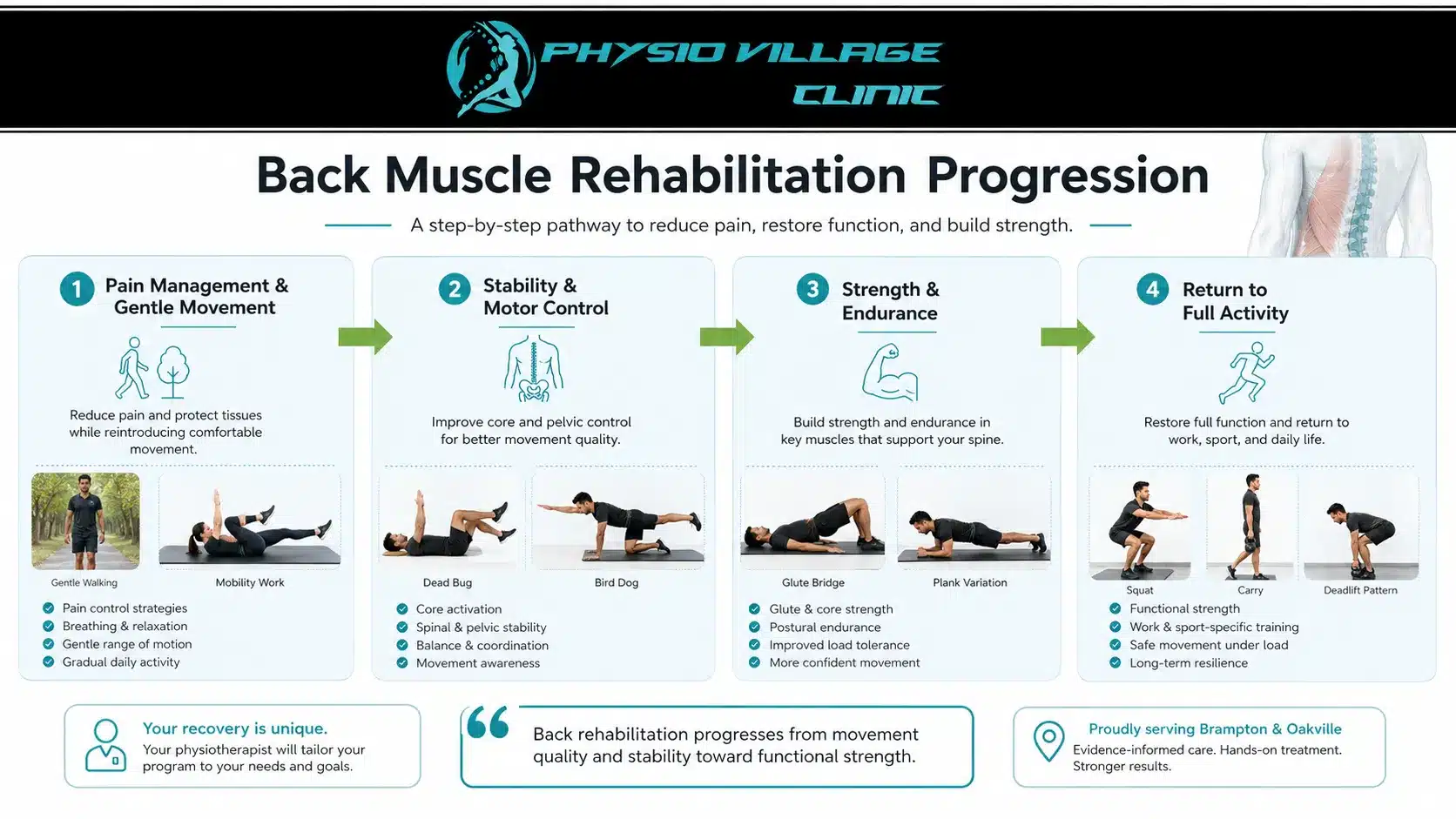 Clinical rehabilitation infographic showing progressive back muscle recovery from pain management to full functional strength.