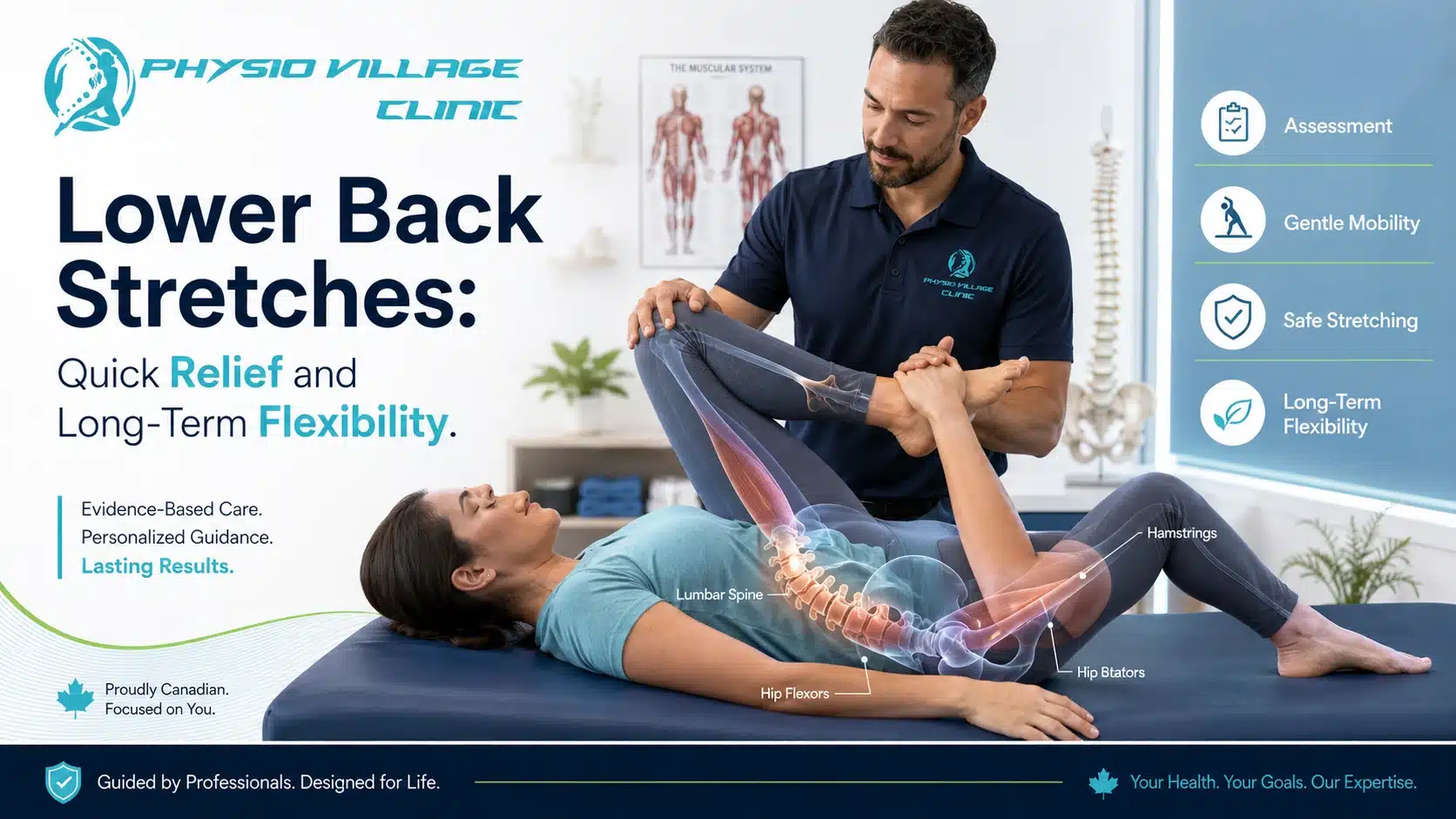 Physiotherapist guiding a patient through a gentle lower back stretch with lumbar spine and hip anatomy overlay.